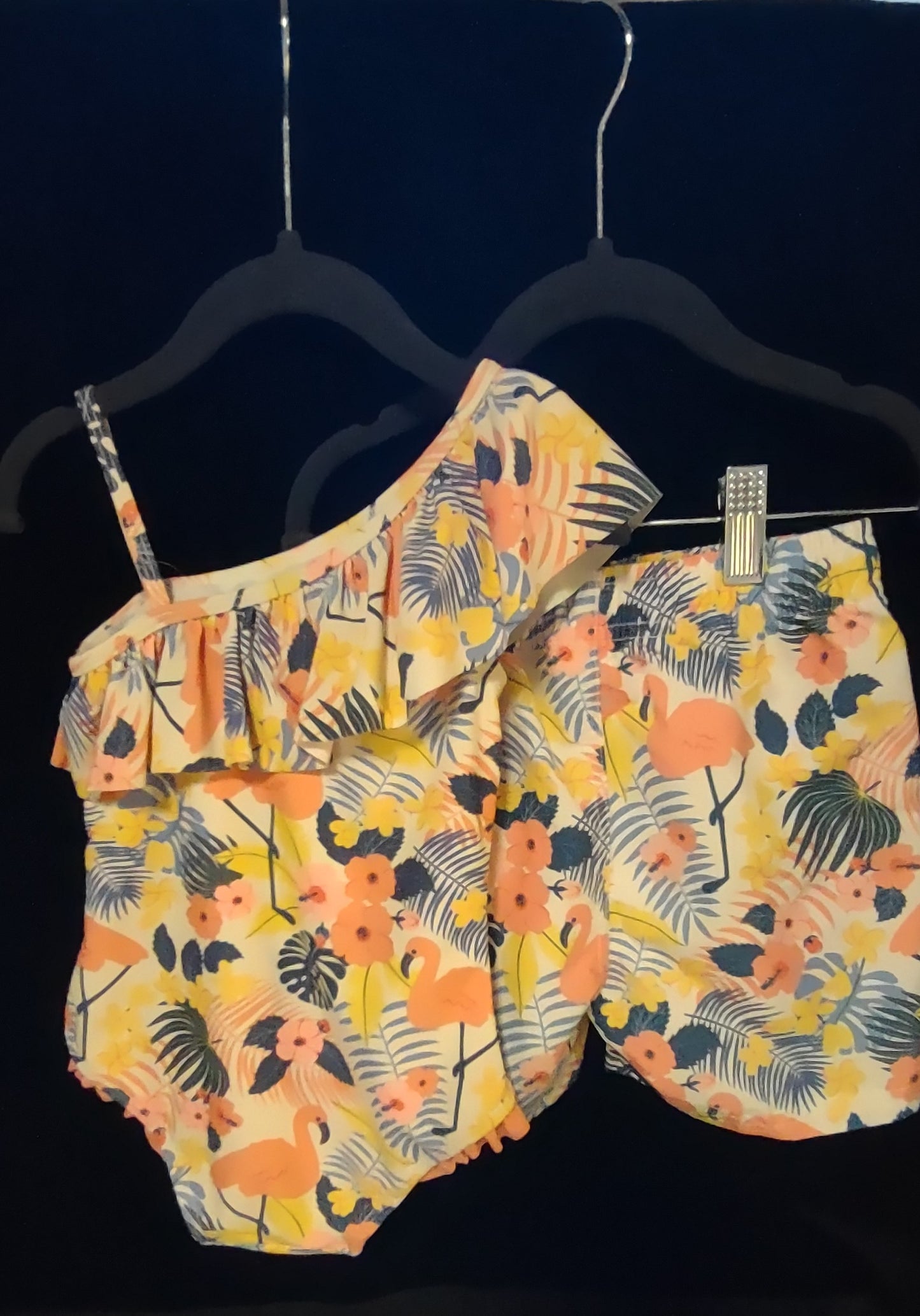 Tropical Flamingo Girls 1 Pcs & Boys Swim Trunks
